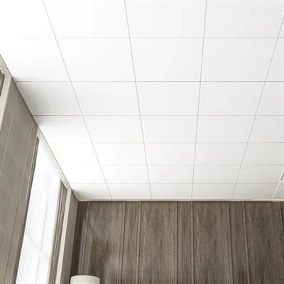 Cost-effective Plastic Ceiling